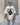 Kendrick Oversized T-Shirt